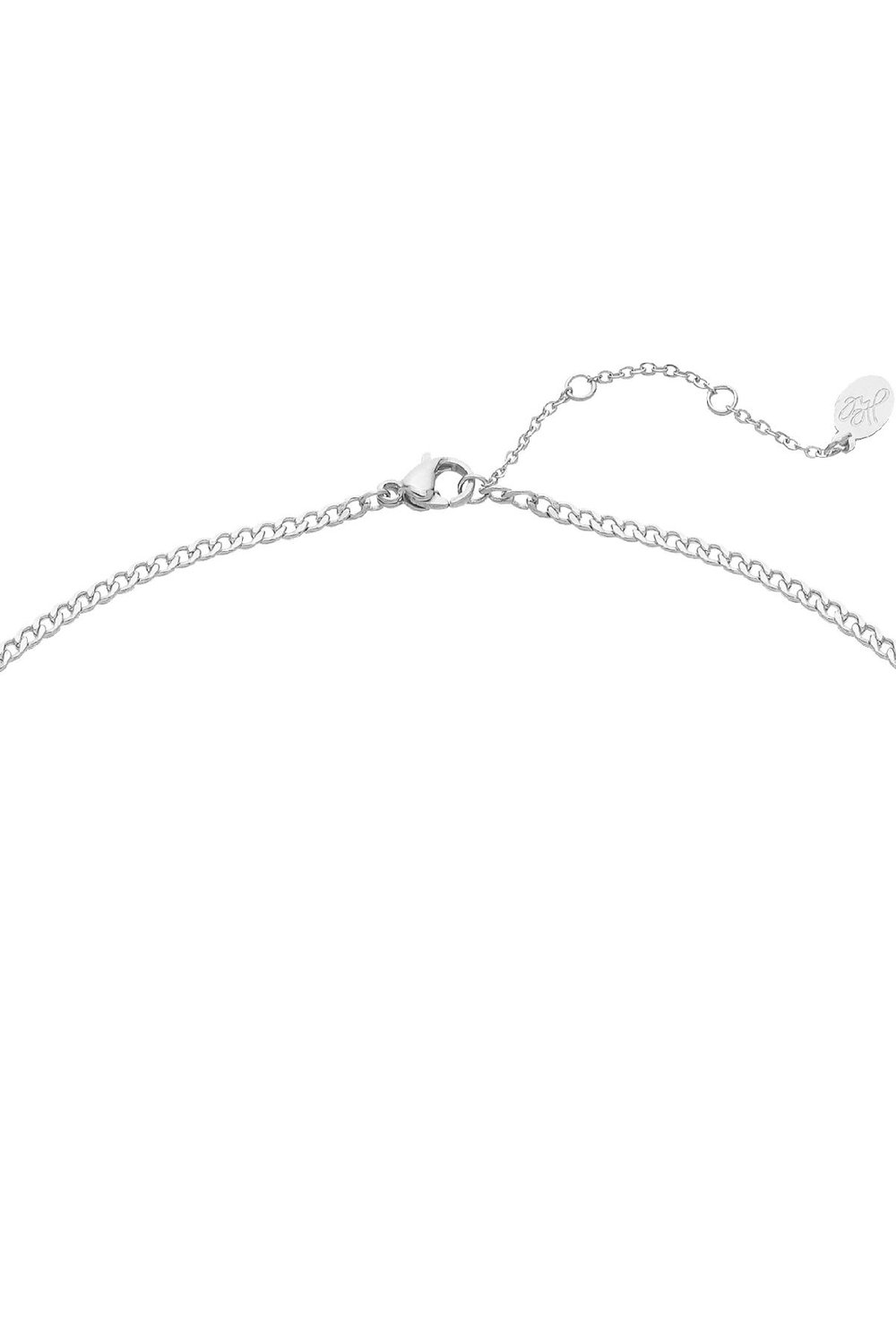 Ketting Mermaid Vibes Zilver Stainless Steel h5Afbeelding3